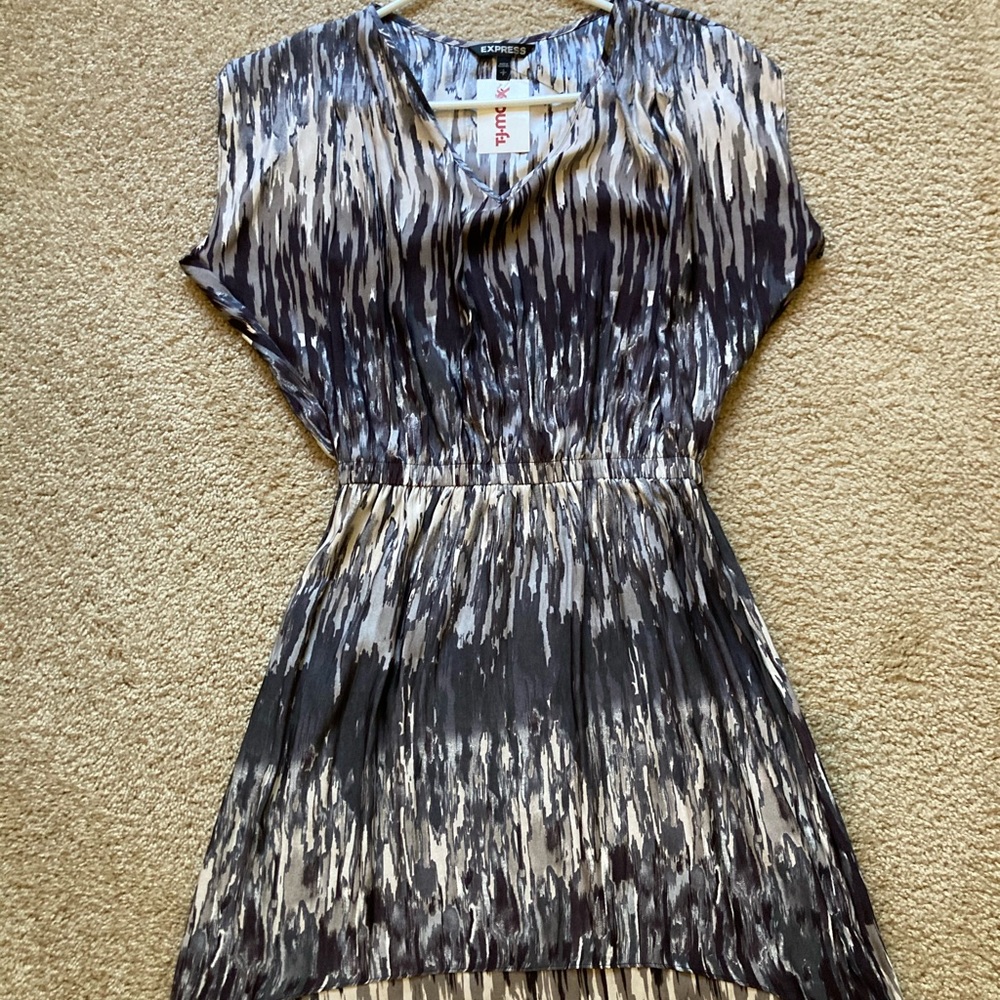 Express Women’s Dress